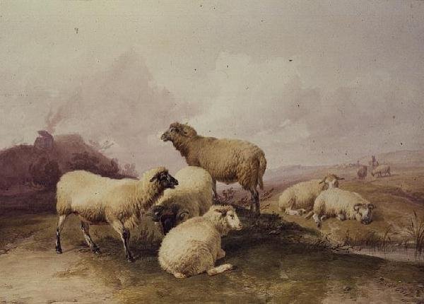 Sauer i et landskap, 1844 av Thomas Sidney Cooper