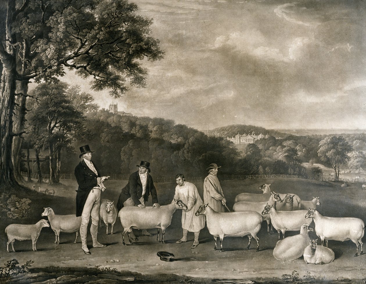 Portrett av Thomas William Coke, Esq. (1752-1842) inspiserte noen av South Down-sauene hans med Mr. Walton og Holkham-gjetere, gravert av William Ward (1766-1826), 1808 av Thomas Weaver
