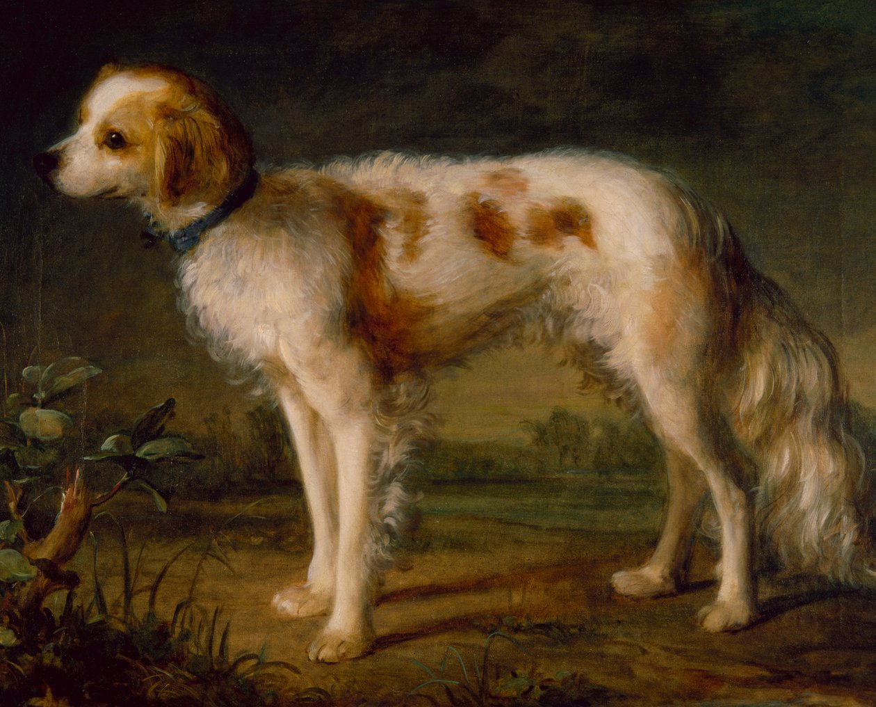 En spaniel i et landskap (olje) av Thomas (circle of) Gainsborough