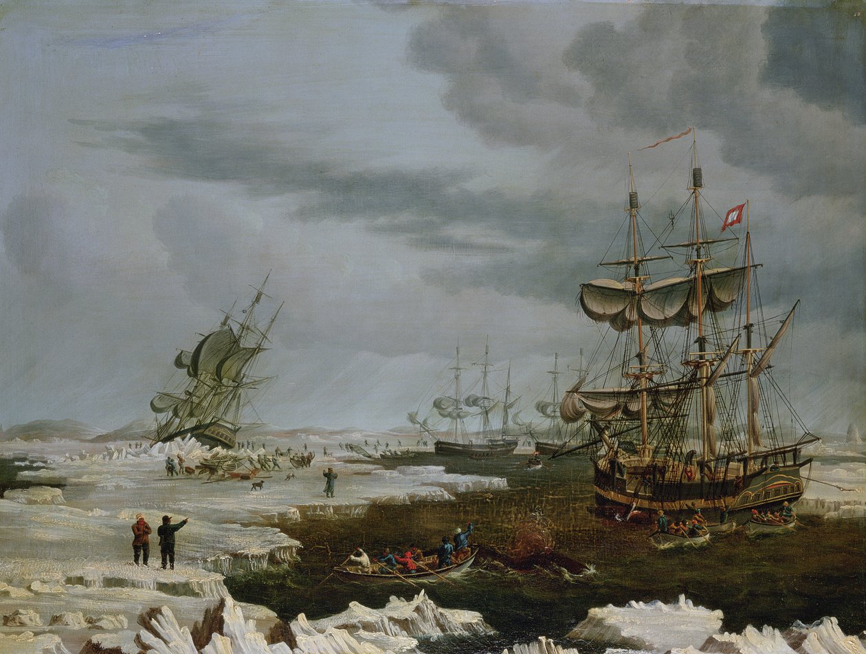 Hull-hvalfangere i Arktis av Thomas A. Binks