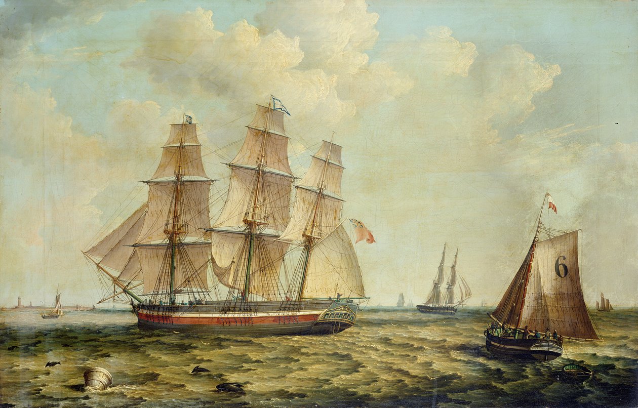  av Thomas A. Binks