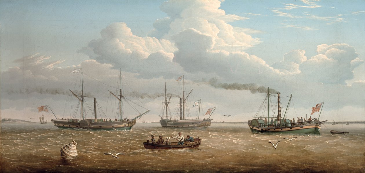  av Thomas A. Binks