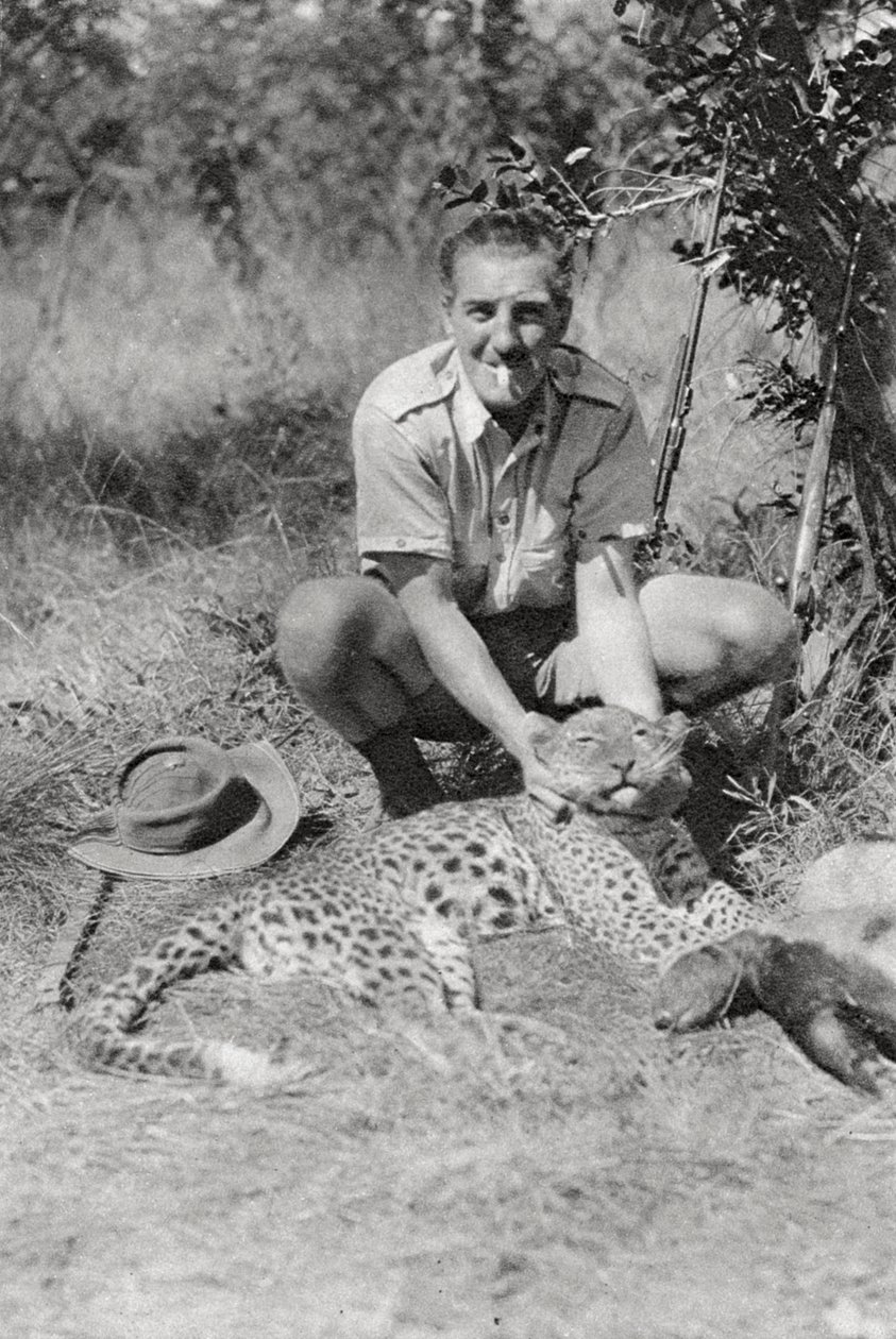 Chaplin Court Treatts leopard, Abercorn til Tukuyu, Tanganyika, 1925 1927 av Thomas A. Glover