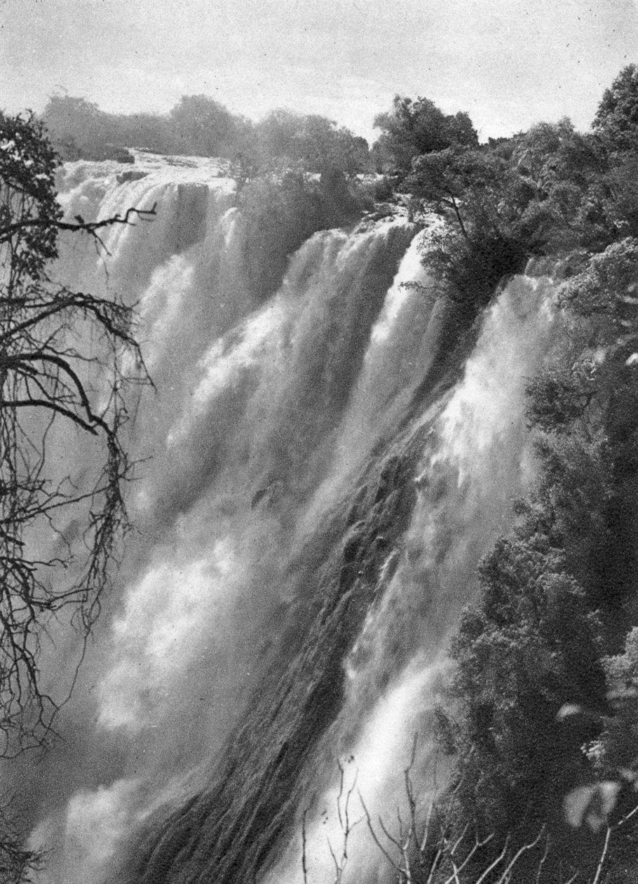 Østlig grå stær, Victoria Falls, Livingstone til Broken Hill, Nord-Rhodesia, 1925 1927. av Thomas A. Glover