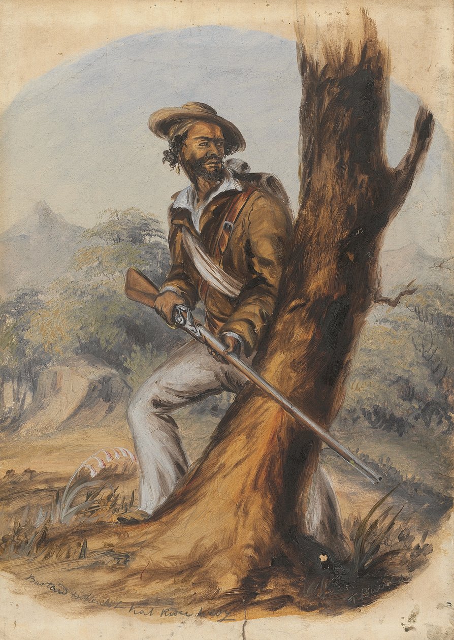  av Thomas Baines