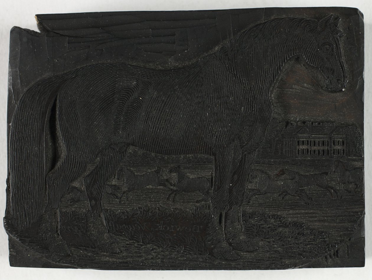 Treblokk for The Black Horse, fra en generell historie om firbeinte av Thomas Bewick