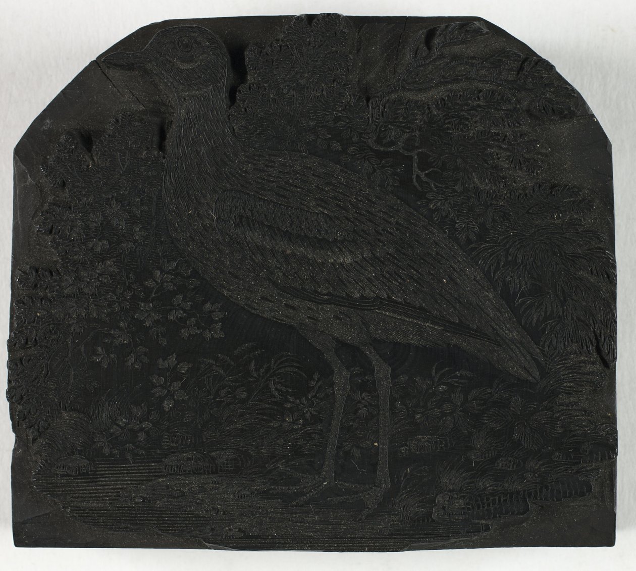 Woodblock pentru The Great Plover, din A History of British Birdsnorwegian av Thomas Bewick