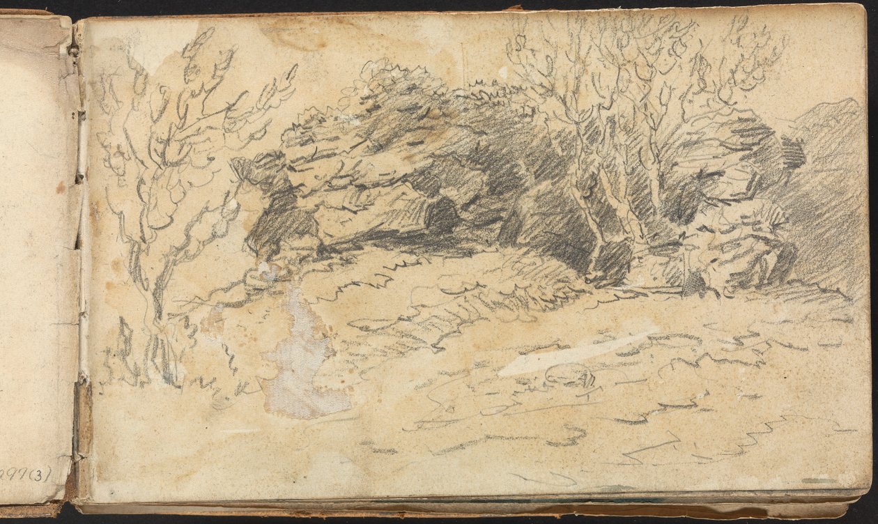 Album of Landscape and Figure Studies: Sketch of Trees and Rocks av Thomas Bradshaw