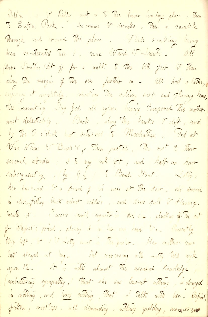 Thomas Butler Gunn Diaries- bind 5, side 211, 5. juni 1853 av Thomas Butler Gunn