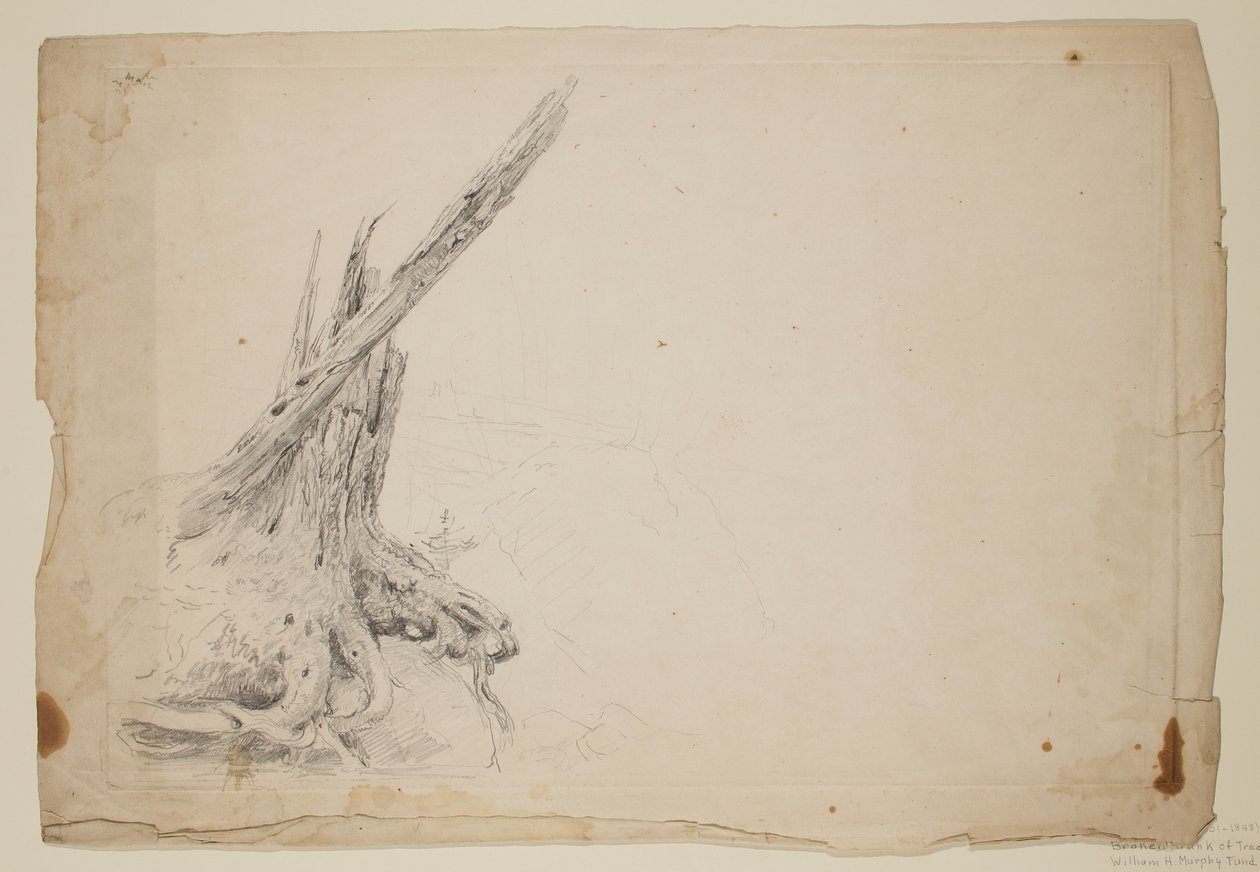 Broken Trunk of a Tree (blyant på papir) av Thomas Cole