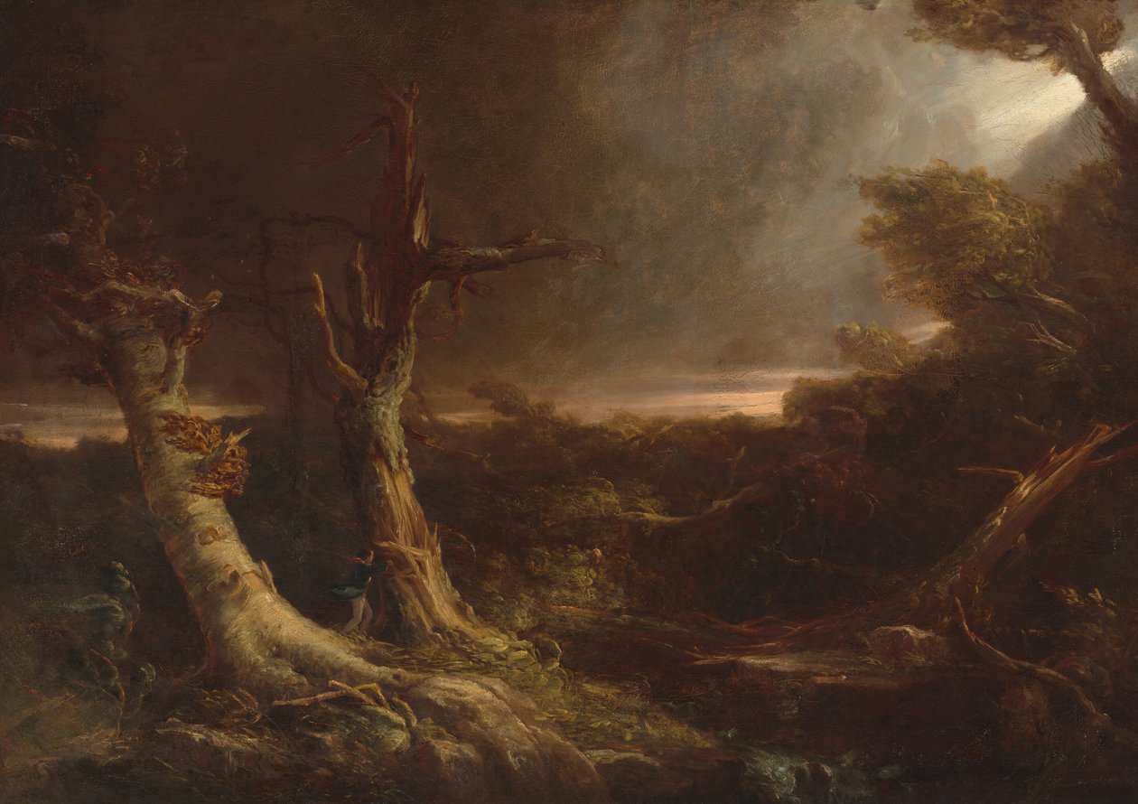 Tornado i en amerikansk skog av Thomas Cole