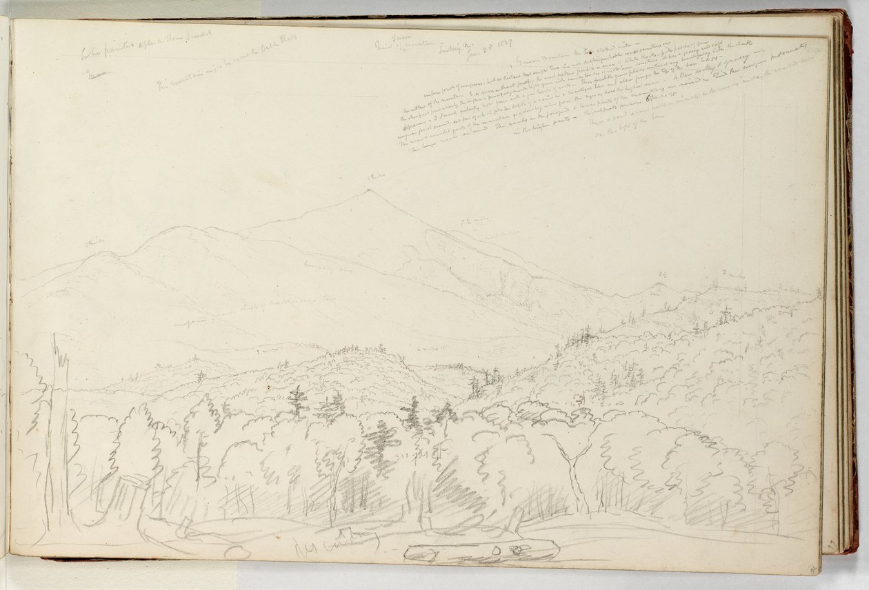 Utsikt over Schroon-fjellet ser nordover 28. juni av Thomas Cole