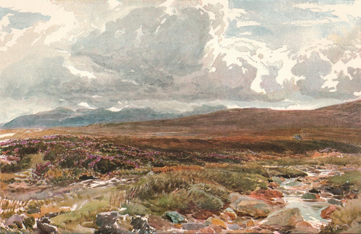 A Sussex Common, c1889 av Thomas Collier