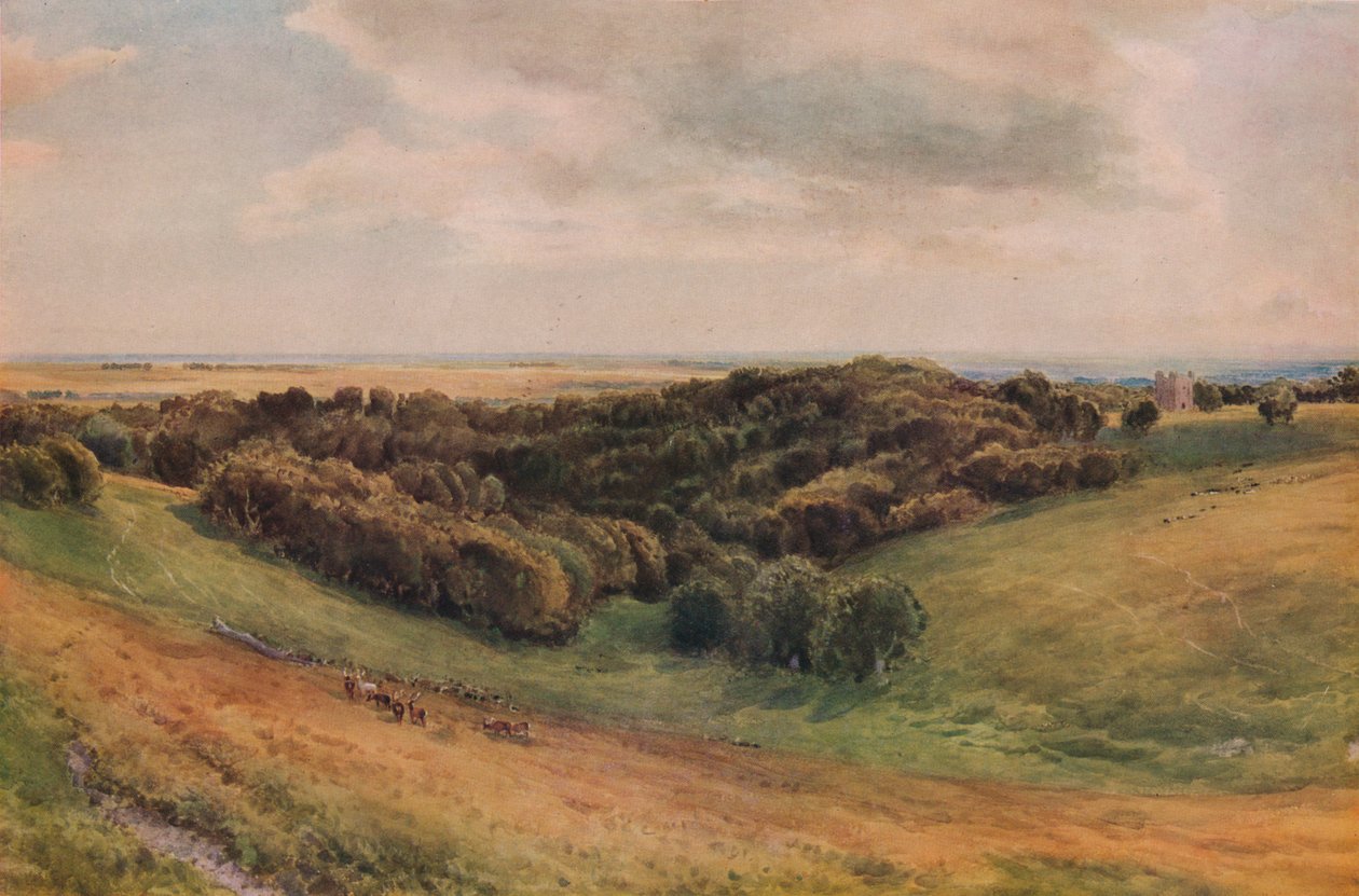 Arundel Park, 1874 av Thomas Collier