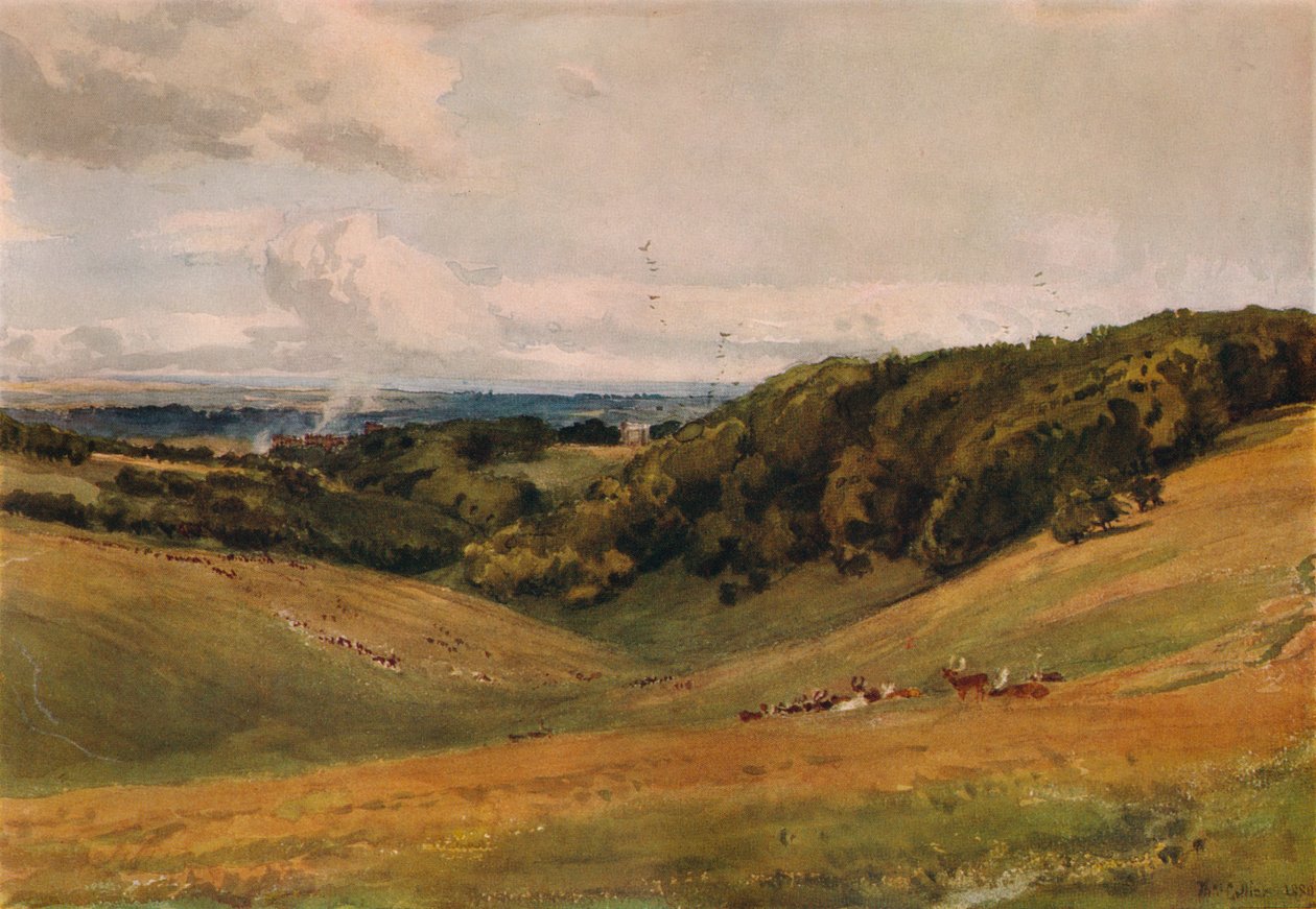 Arundel Park, med hjort, 1880 av Thomas Collier