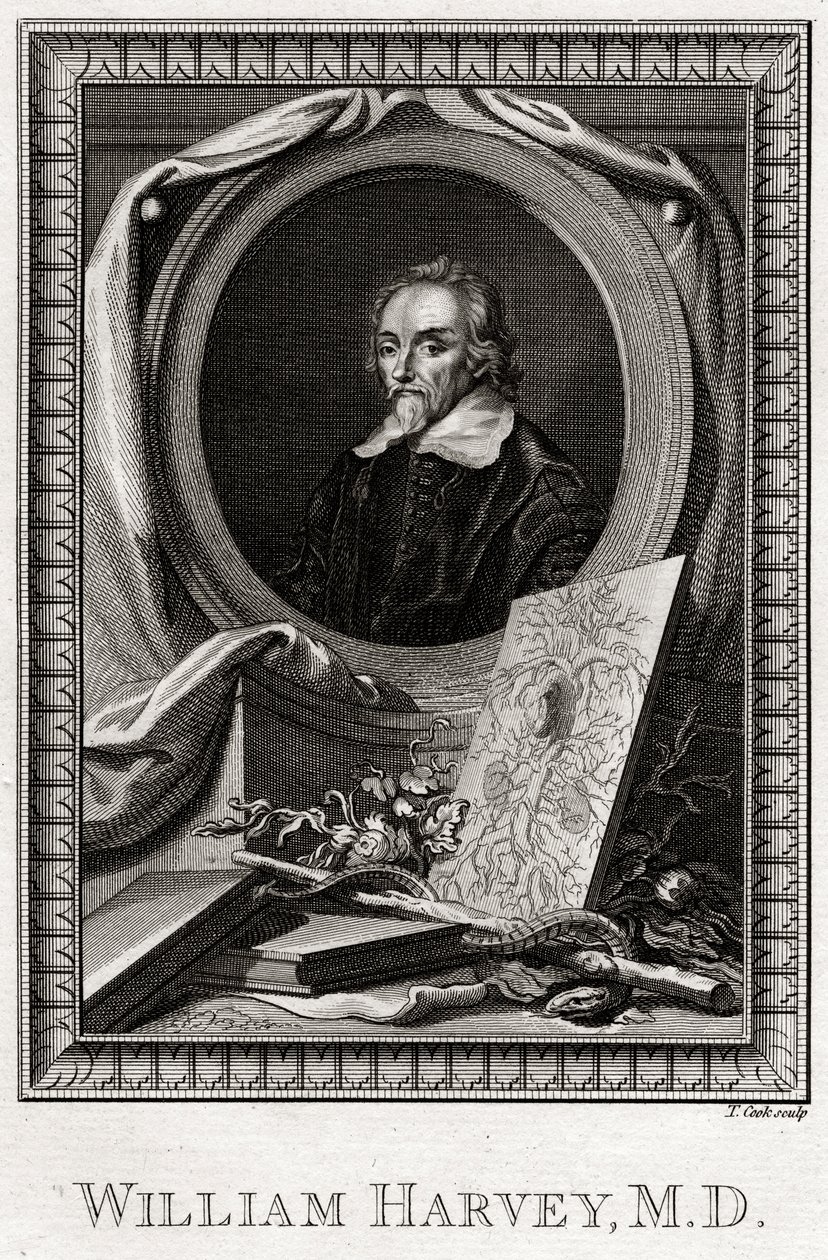 William Harvey, 1777 av Thomas Cook