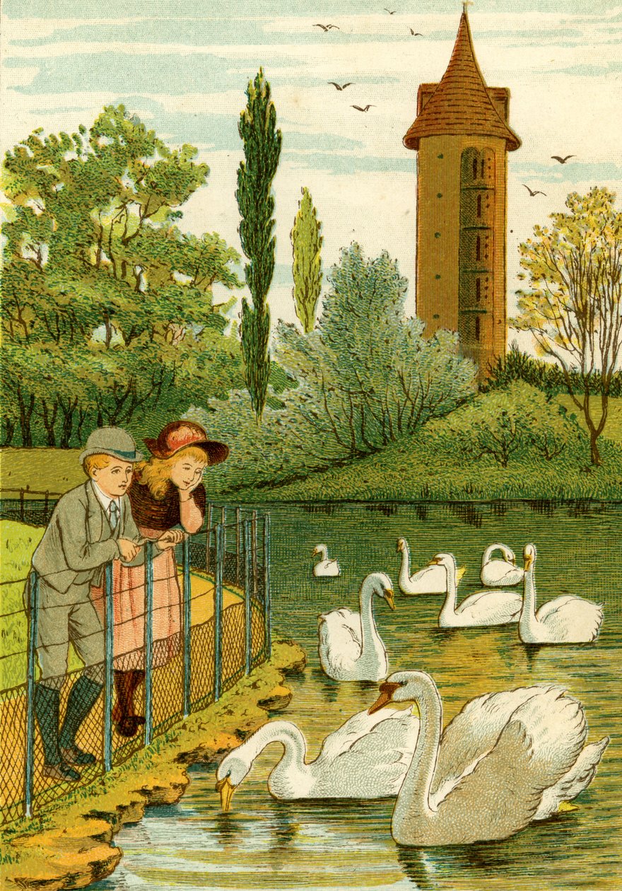 Paris Zoo - barn ser på svaner av Thomas Crane