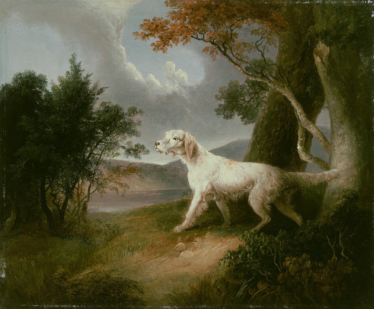 Landskap med hund av Thomas Doughty