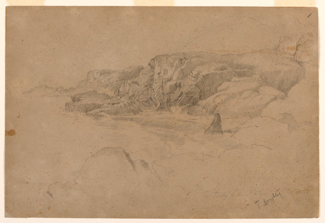 Studie fra naturen av Thomas Doughty