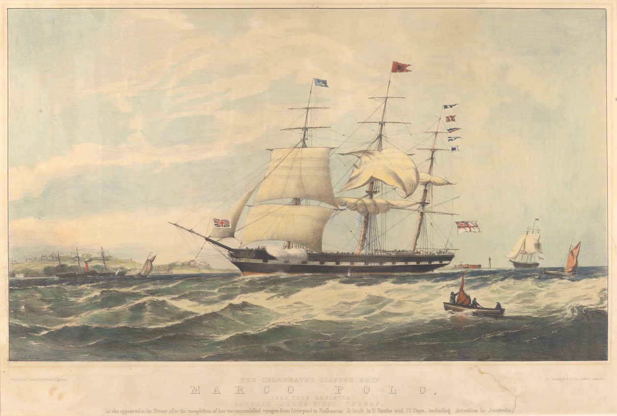  av Thomas Dove