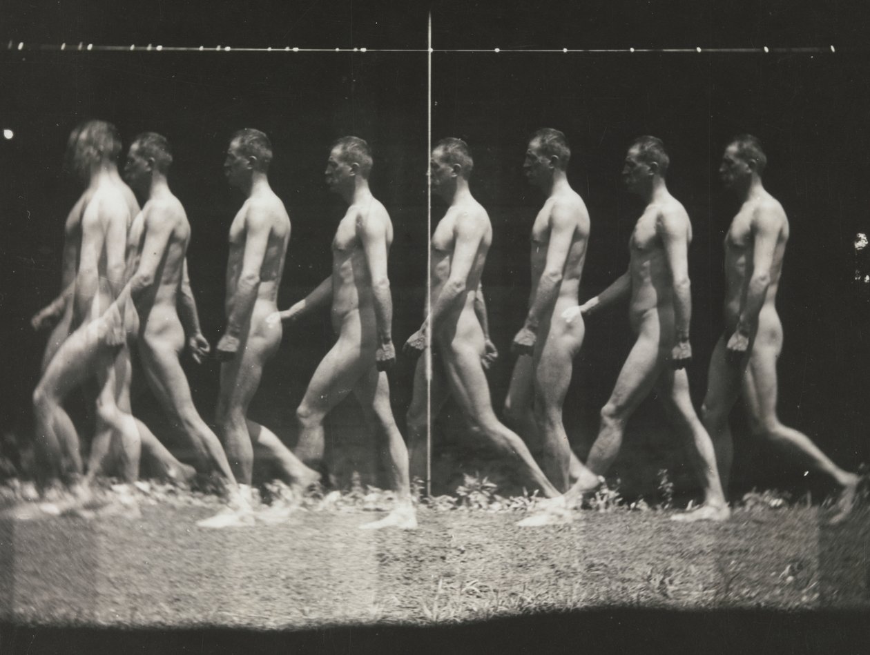 [Man Walking, Stroboscopic Photograph], 1880-tallet, trykt 1930-40-tallet, 1880-tallet, trykt 1930-40-tallet. av Thomas Eakins