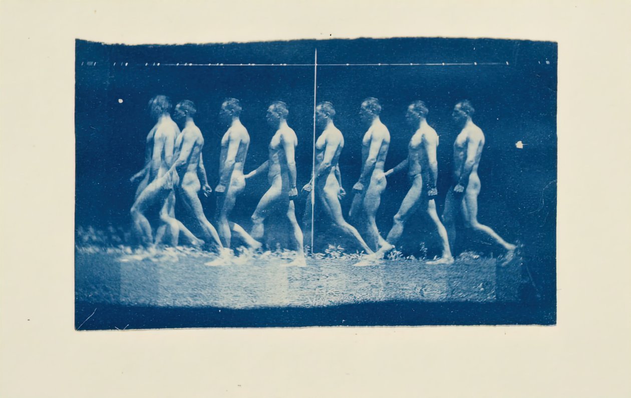 Marey Wheel-fotografier av Jesse Godley, 1884. av Thomas Eakins