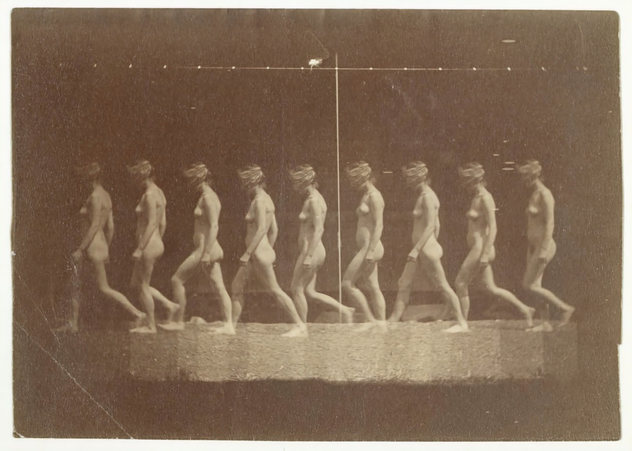 Marey Wheel-fotografier av uidentifisert modell, 1884. av Thomas Eakins