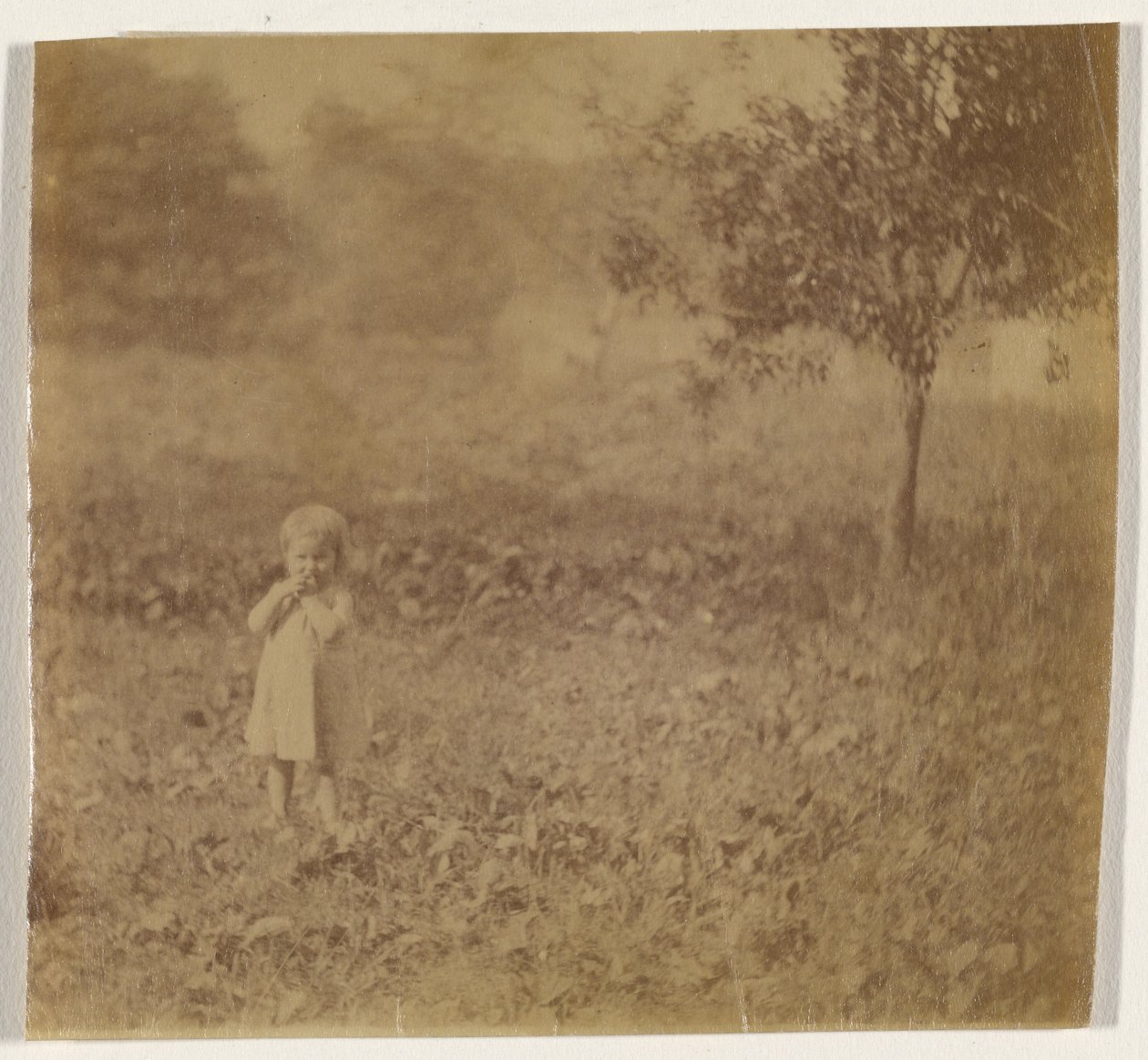 [Portrett av et barn] av Thomas Eakins
