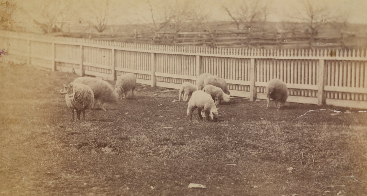  av Thomas Eakins