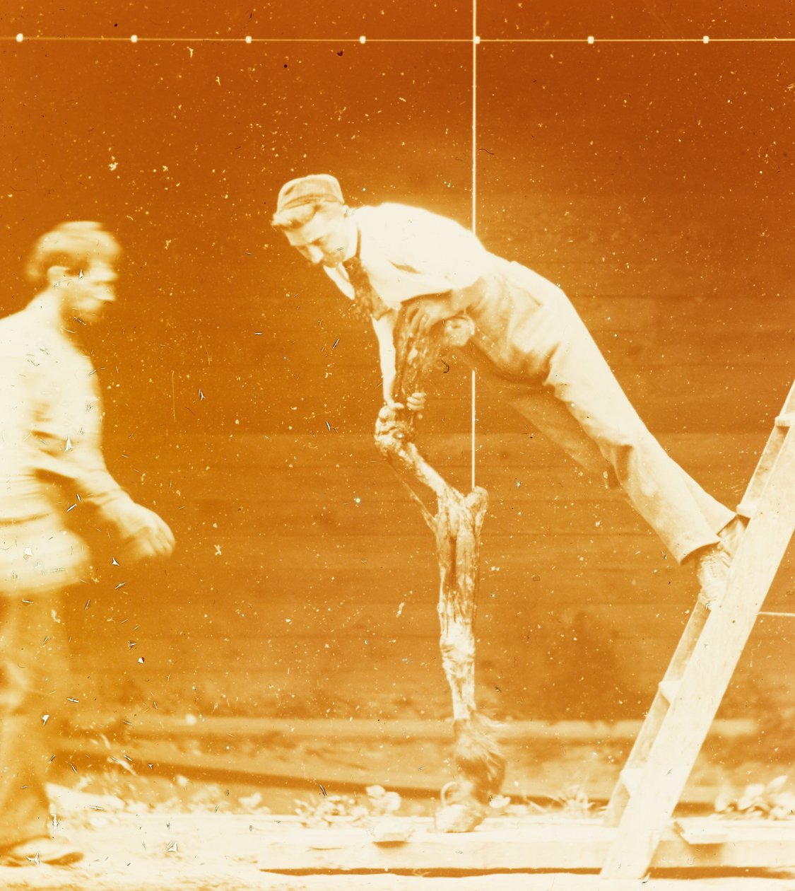 [Studie der Muskelaktion: Junger Mann lehnt an einem Pferdebein] av Thomas Eakins