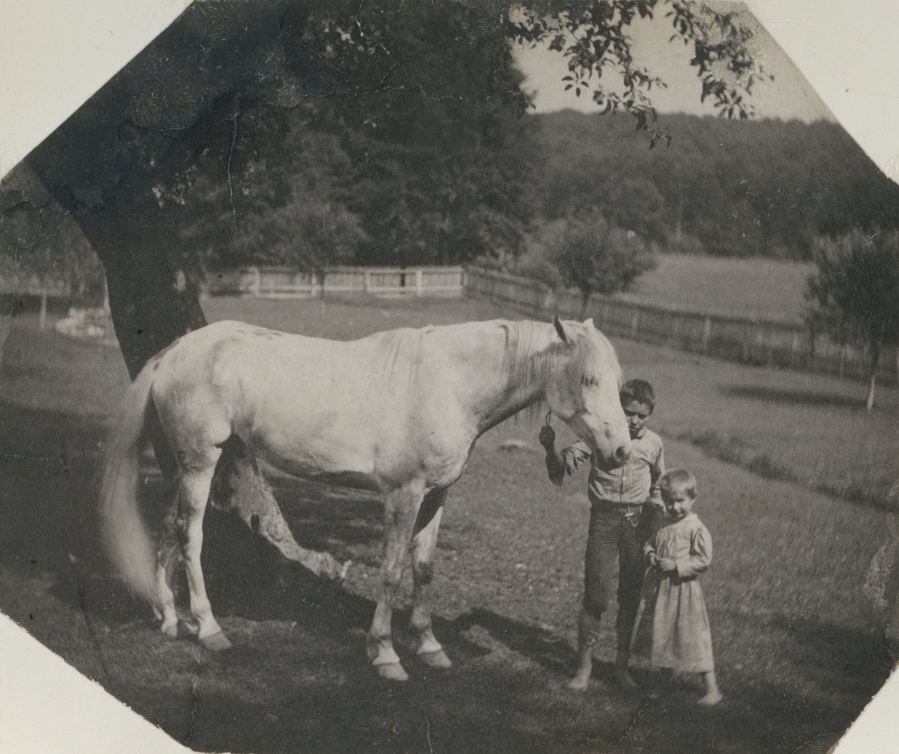 Thomas Eakins sin hest Billy og to Crowell-barn i Avondale, Pennsylvania, ca. 1892. av Thomas Eakins