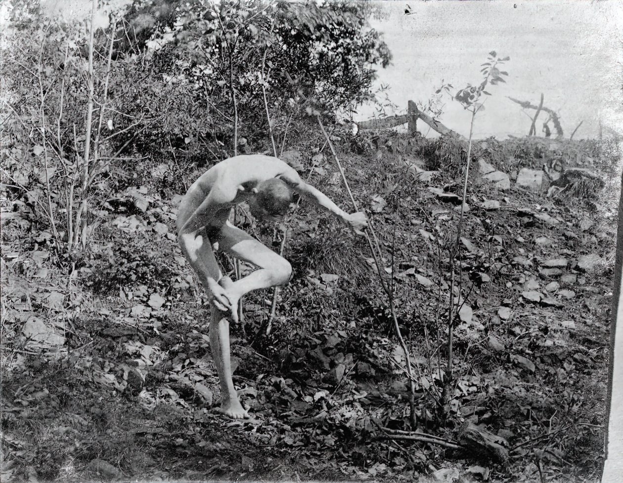 Tornetrekker, ca. 1883. av Thomas Eakins