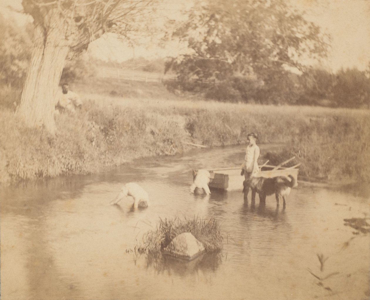 [Tre barn og en hund som leker i bekken, 4. juli 1883], 1883., 1883. av Thomas Eakins