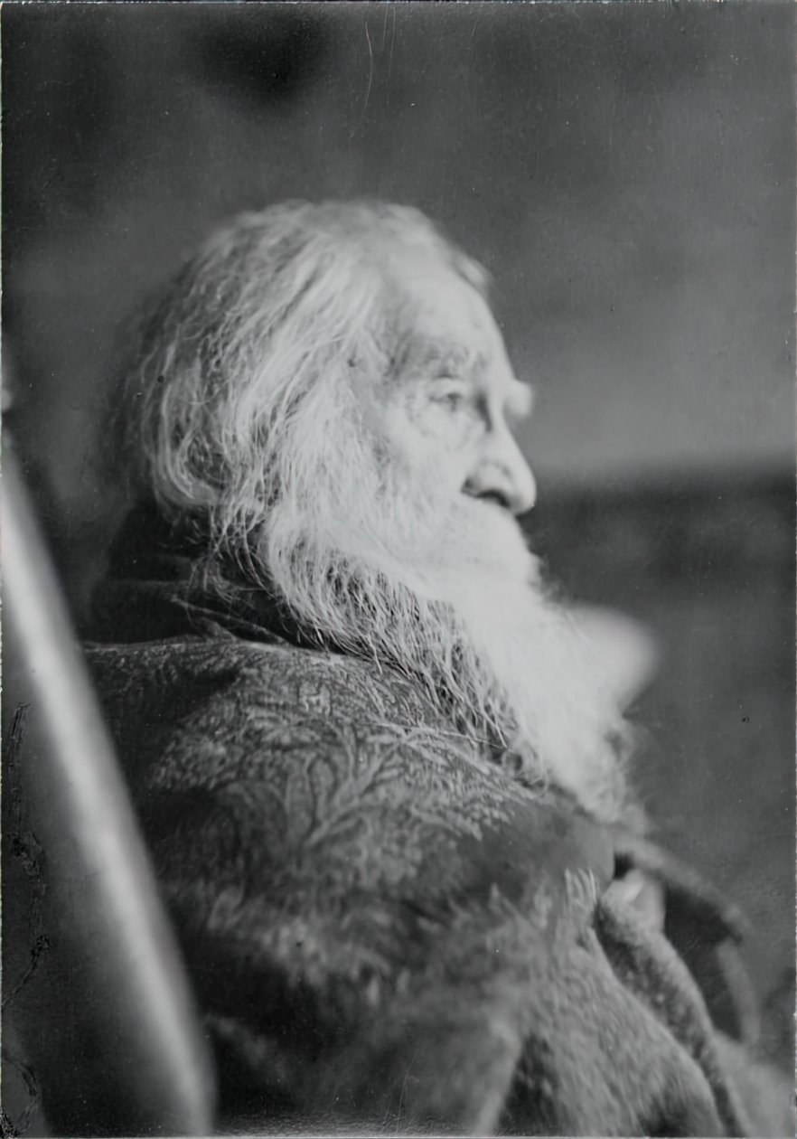 Walt Whitman i Camden, NJ, ca. 1891. av Thomas Eakins