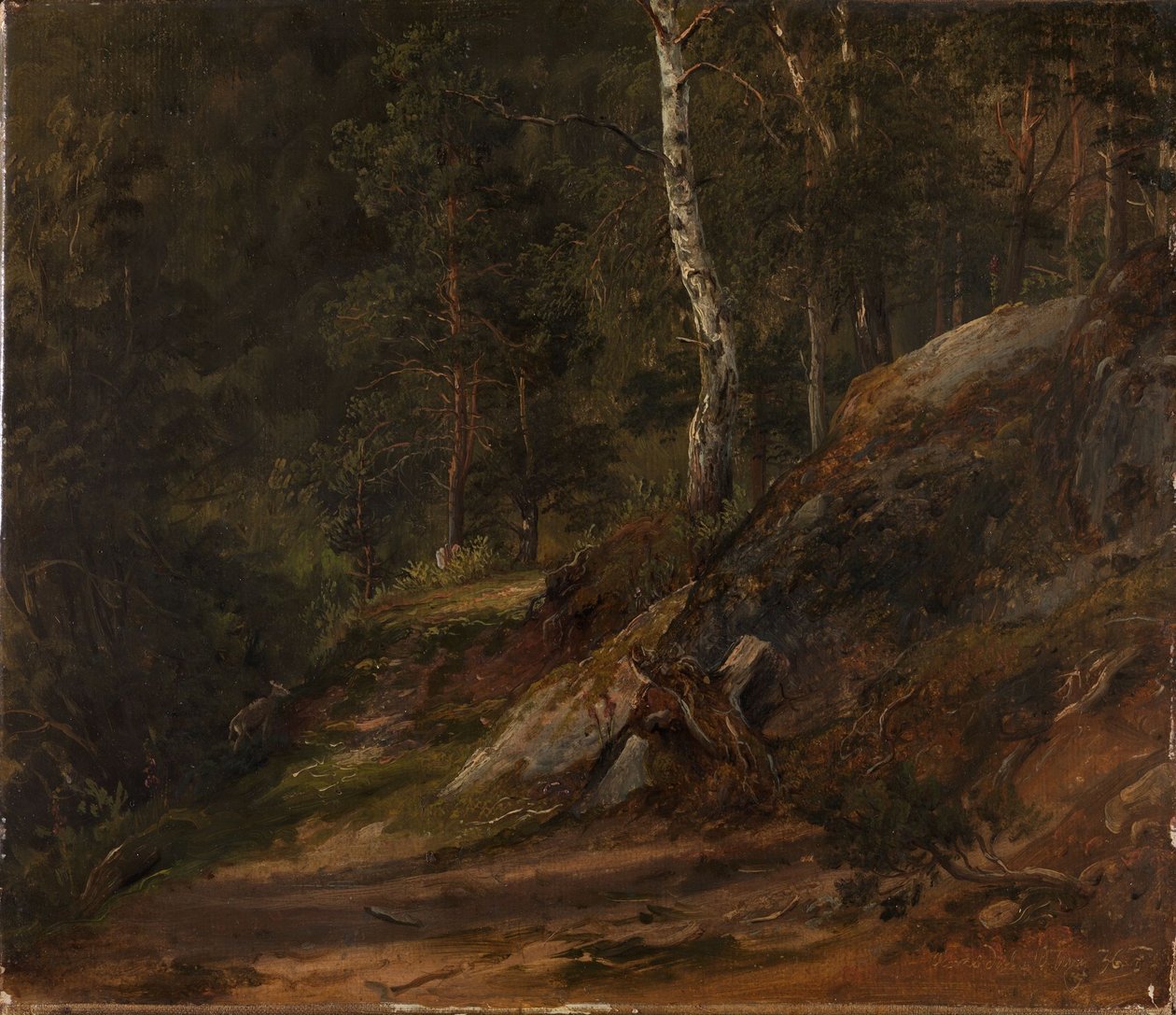 Skogstudie fra Romsdal av Thomas Fearnley
