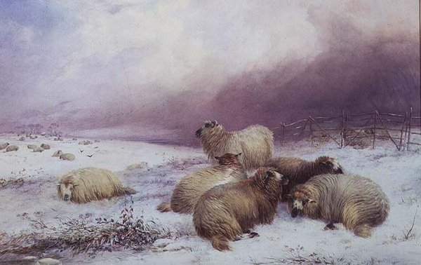 Et vinterlandskap med sauer av Thomas Francis Wainewright