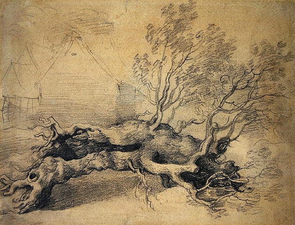 Et falt tre med gårdsbygninger utover (blyant på papir) av Thomas Gainsborough