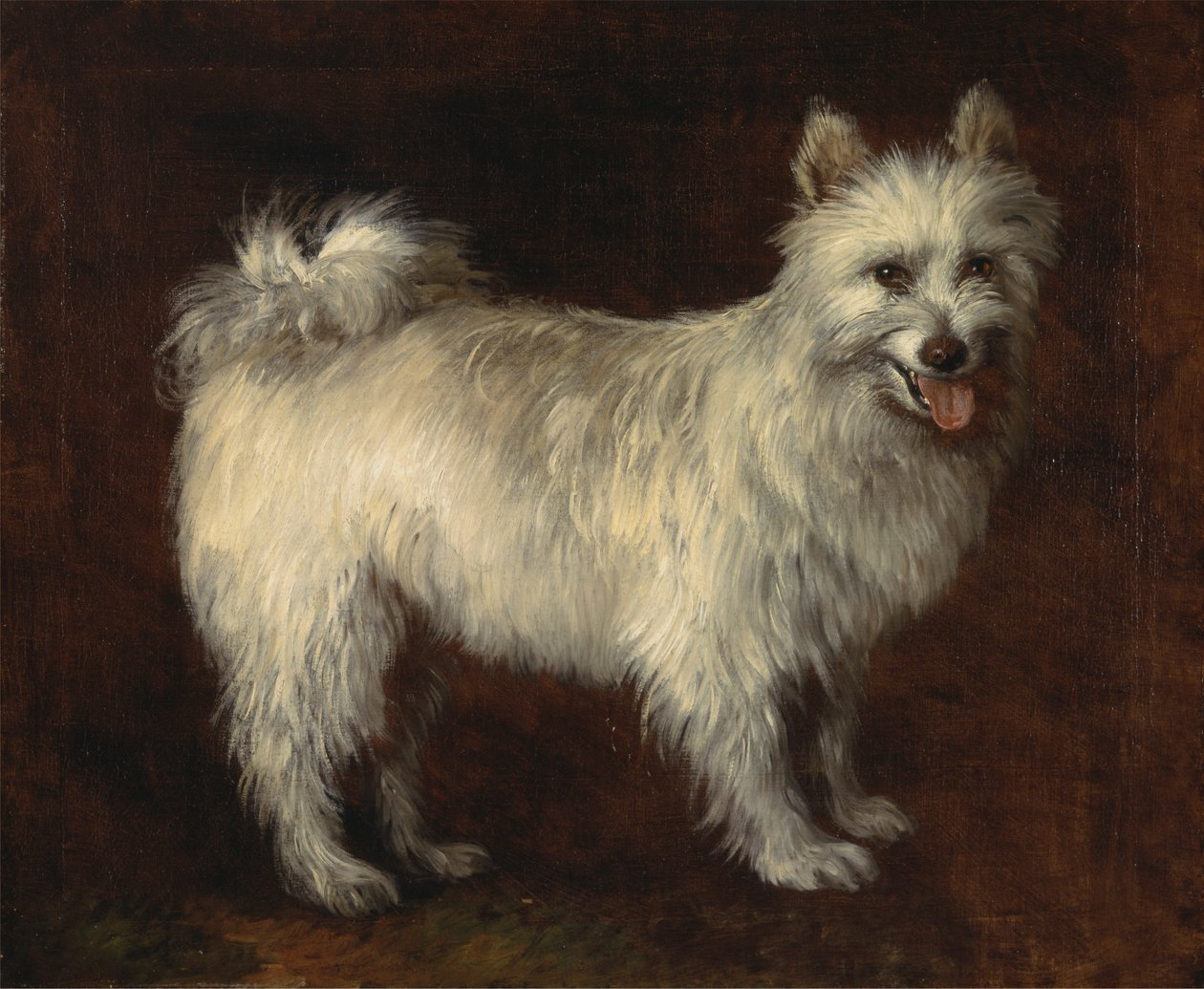 Spisshund av Thomas Gainsborough RA