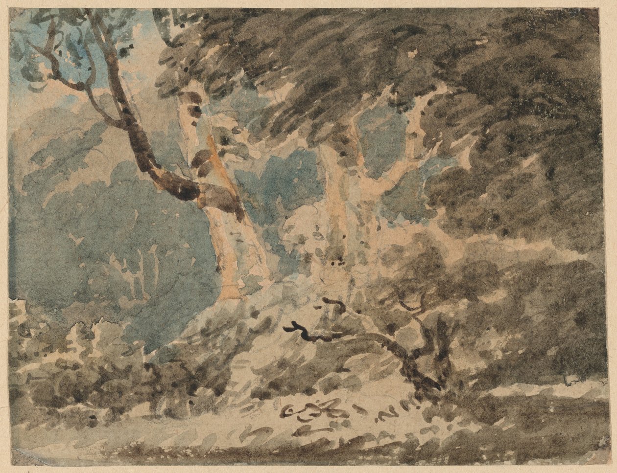 Kanten av en skog av Thomas Girtin