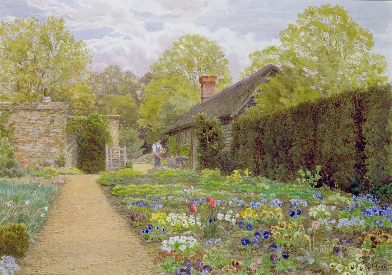 The Pansy Garden, Munstead Wood, Surrey, hjemmet til Gertrude Jekyll; av Thomas H. Hunn