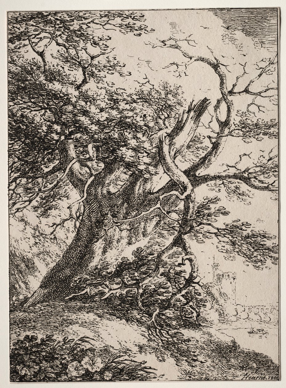 Prøver av polyautografi: Landskap med et eik, 1803. av Thomas Hearne