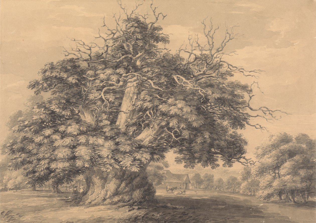 Kastanjetreet ved Little Wymondley, Hertfordshire av Thomas Hearne