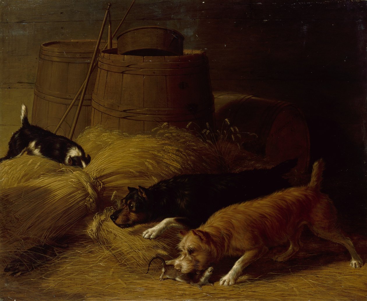 Rotter blant byggskivene, 1851. av Thomas Hewes Hinckley