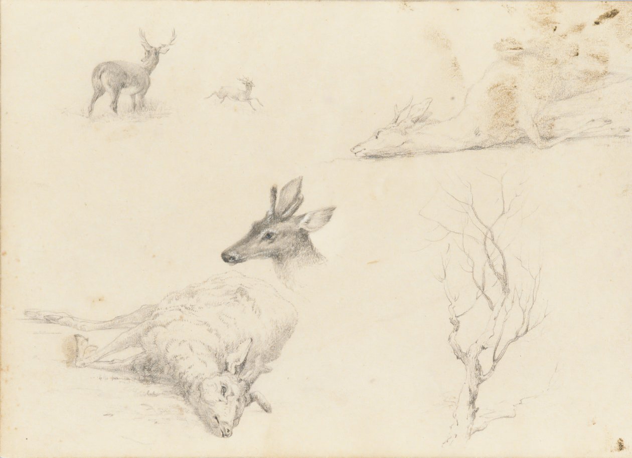 Skissebok over landskap og dyrefag, 1860-64. av Thomas Hewes Hinckley