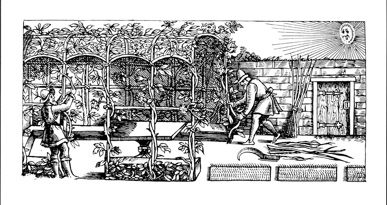 Arbor bygges som en skygge mot solen, fra 