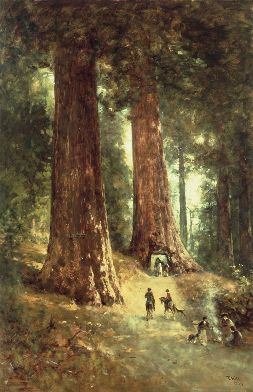 I Redwoods, 1899 av Thomas Hill