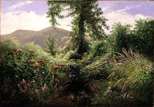 Catskill Mountains, Shandaken, New York (olje på lerret) av Thomas Hiram Hotchkiss