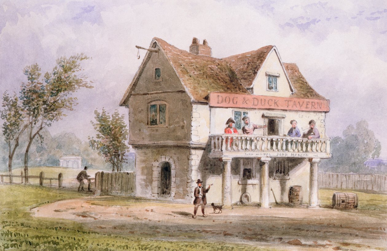 En utsikt over den gamle hunden og anda, St. George
