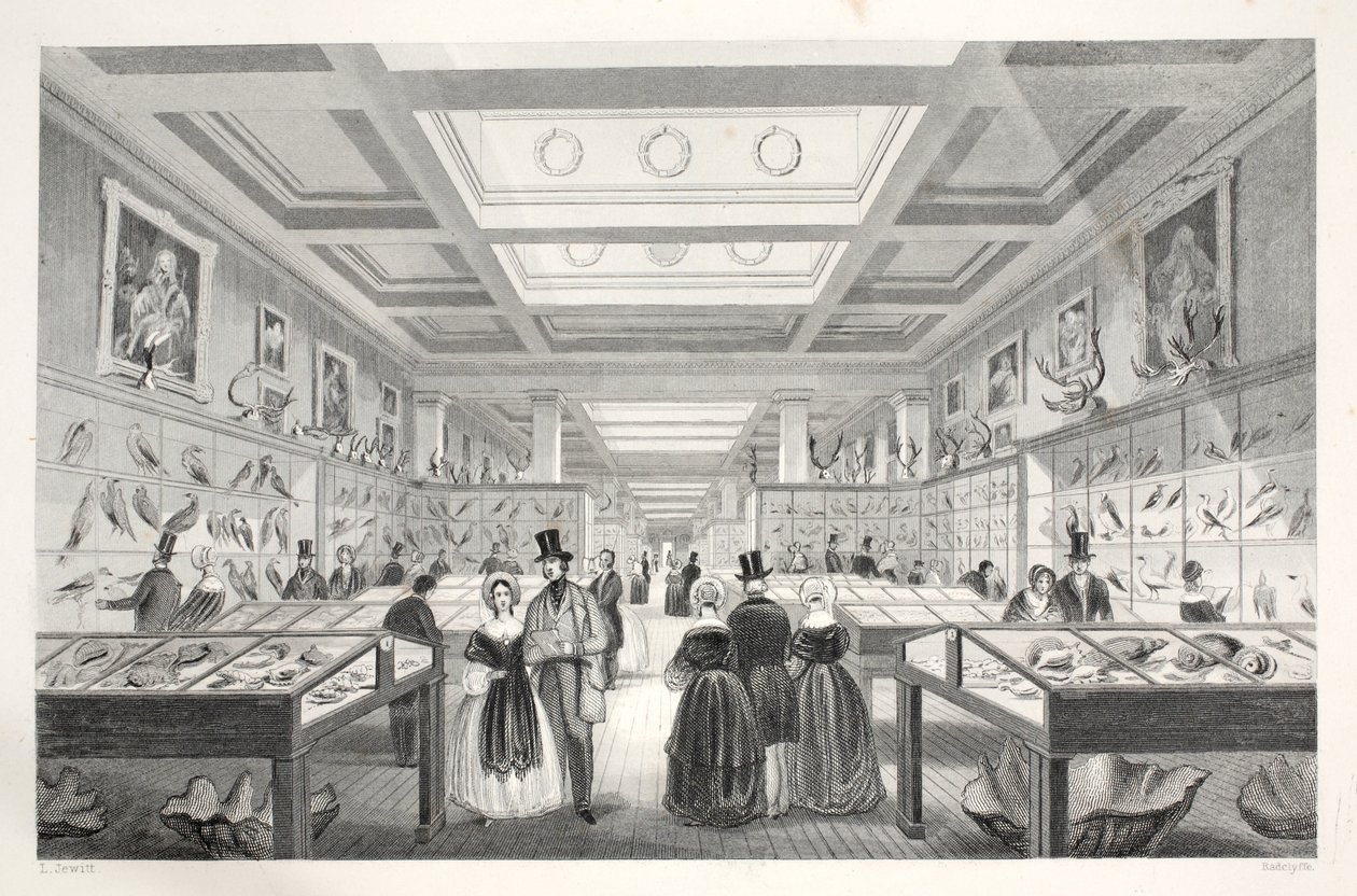 British Museum, Zoological Gallery, fra puben 