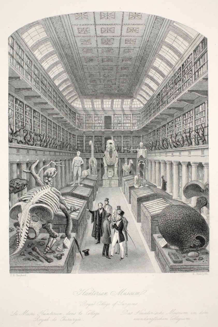 Hunterian Museum, Royal College of Surgeons, fra puben 